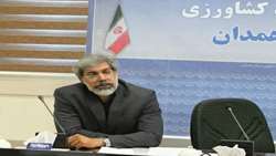 اجرای الگوی کشت در 690هزار هکتار از اراضی همدان 
